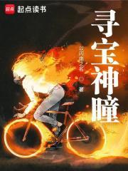 寻宝神瞳全本TXT
