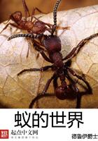 蚁的世界无弹窗 笔趣阁全本