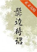 鬓边待诏TXT资源