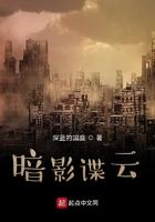 暗影谍云免费全文阅读