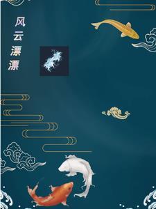 风云歌词是什么意思