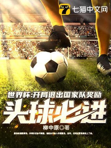 踢进世界杯