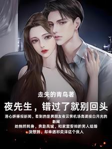 夜先生别来无恙宋若