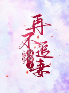 再不追妻就晚了免费完整版