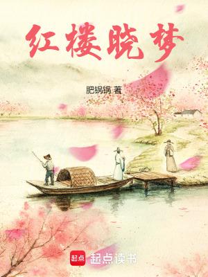 红楼梦小戏骨全集