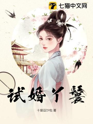 试婚丫鬟的