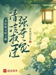 表姑娘作者谨鸢