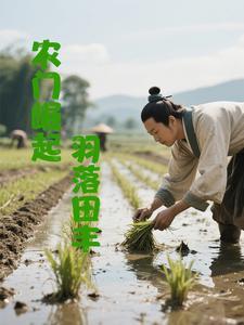 农门崛起