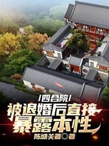 四合院黑稳苟老六陈塘关