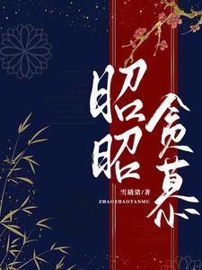 昭昭在线阅读