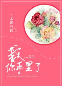 栽你手里一辈子书包网