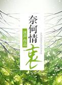 奈何情衷by沐言讲了什么