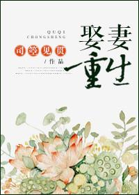 娶妻娶悍完结